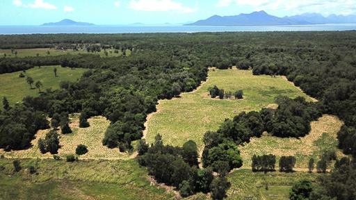 Farm For Sale - QLD - Ellerbeck - 4816 - Rural Lifestyle Opportunity – 127 Acres of Coastal Land Near Cardwell 