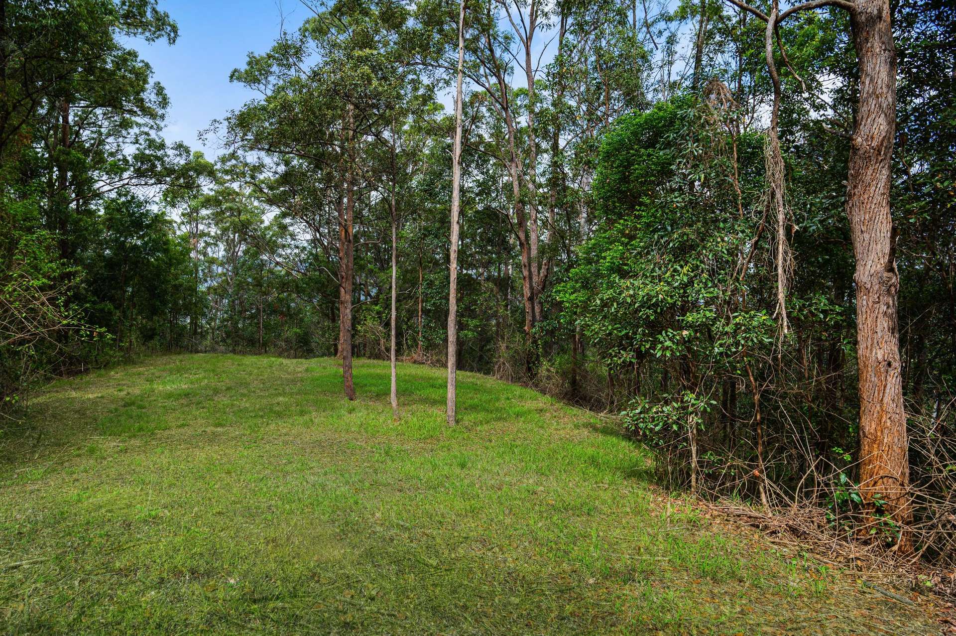 82 Geraghty Creek Road, Conondale Sold by Farmbuy.com - image 15