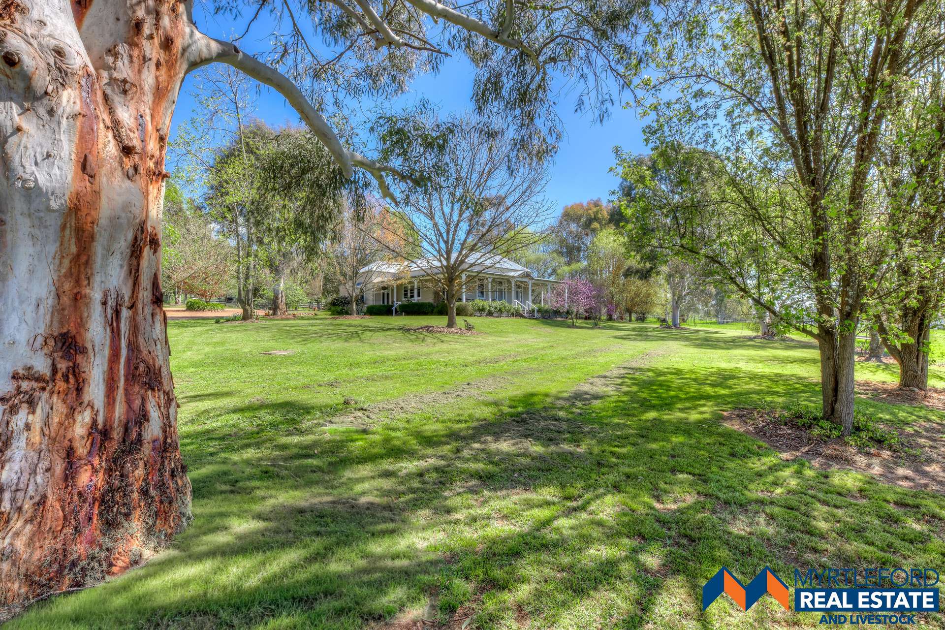714 Happy Valley Road, Myrtleford For Sale by Farmbuy.com - image 3