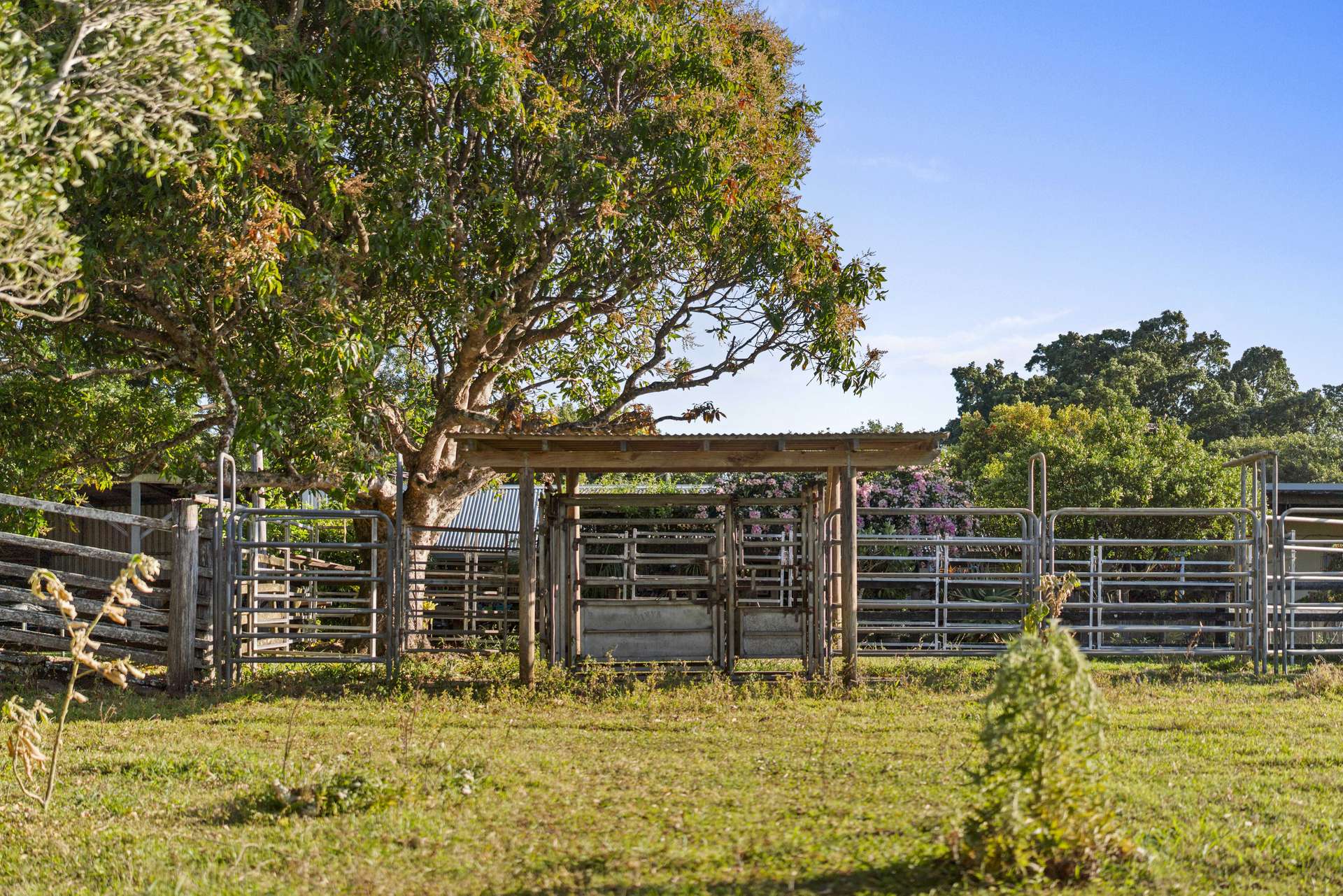 241 Alcorn Road, Knockrow For Sale by Farmbuy.com - image 29
