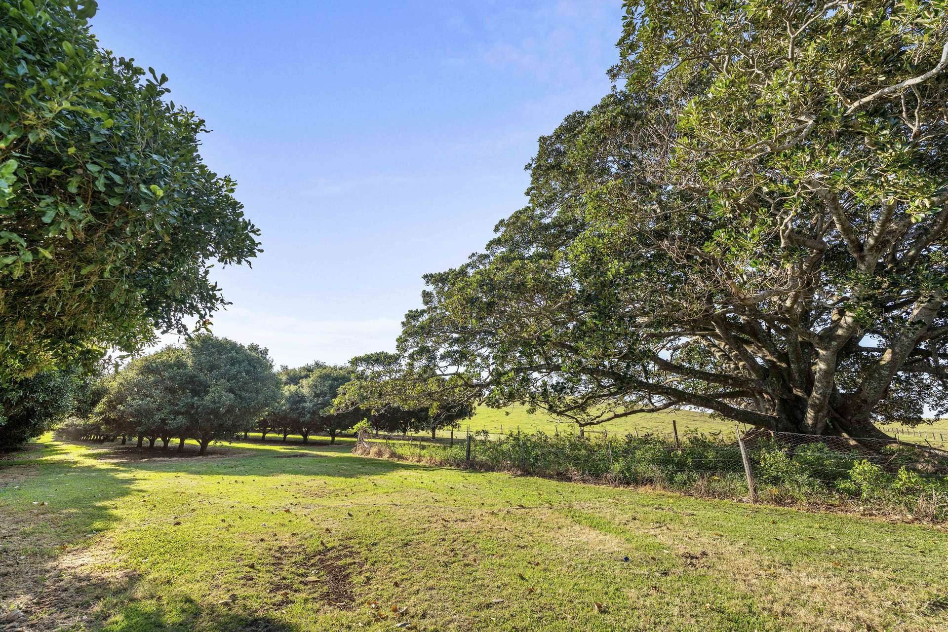241 Alcorn Road, Knockrow For Sale by Farmbuy.com - image 23