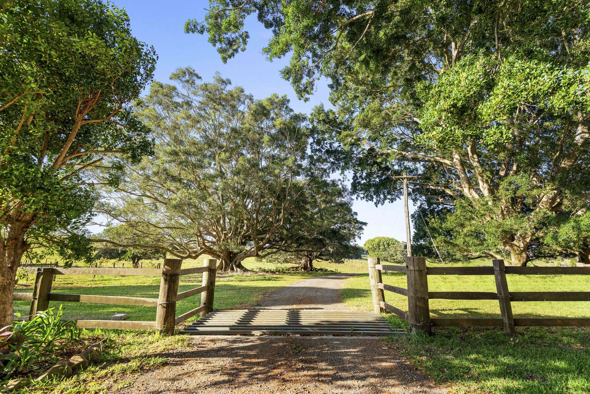 241 Alcorn Road, Knockrow For Sale by Farmbuy.com - image 14