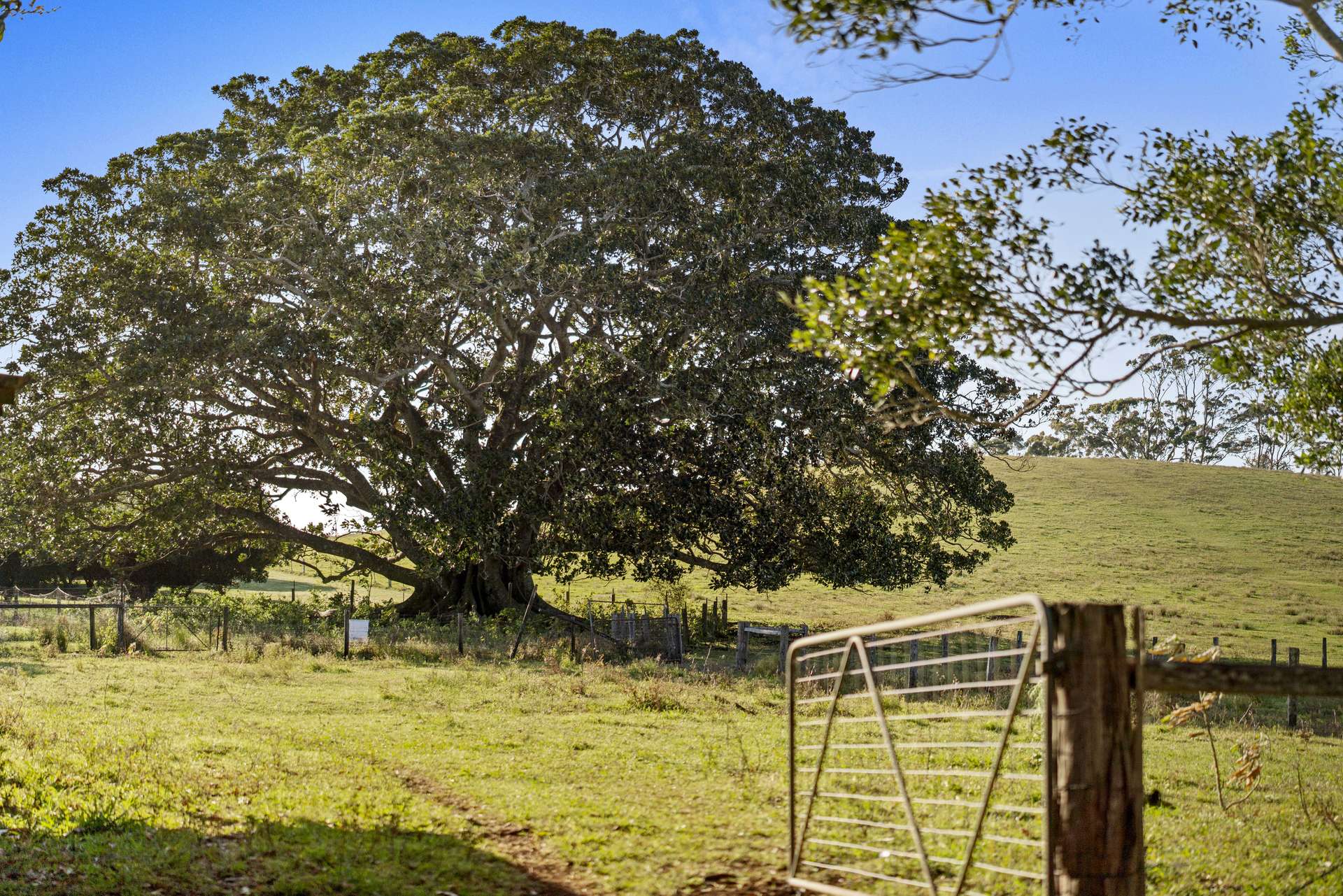 241 Alcorn Road, Knockrow For Sale by Farmbuy.com - image 28