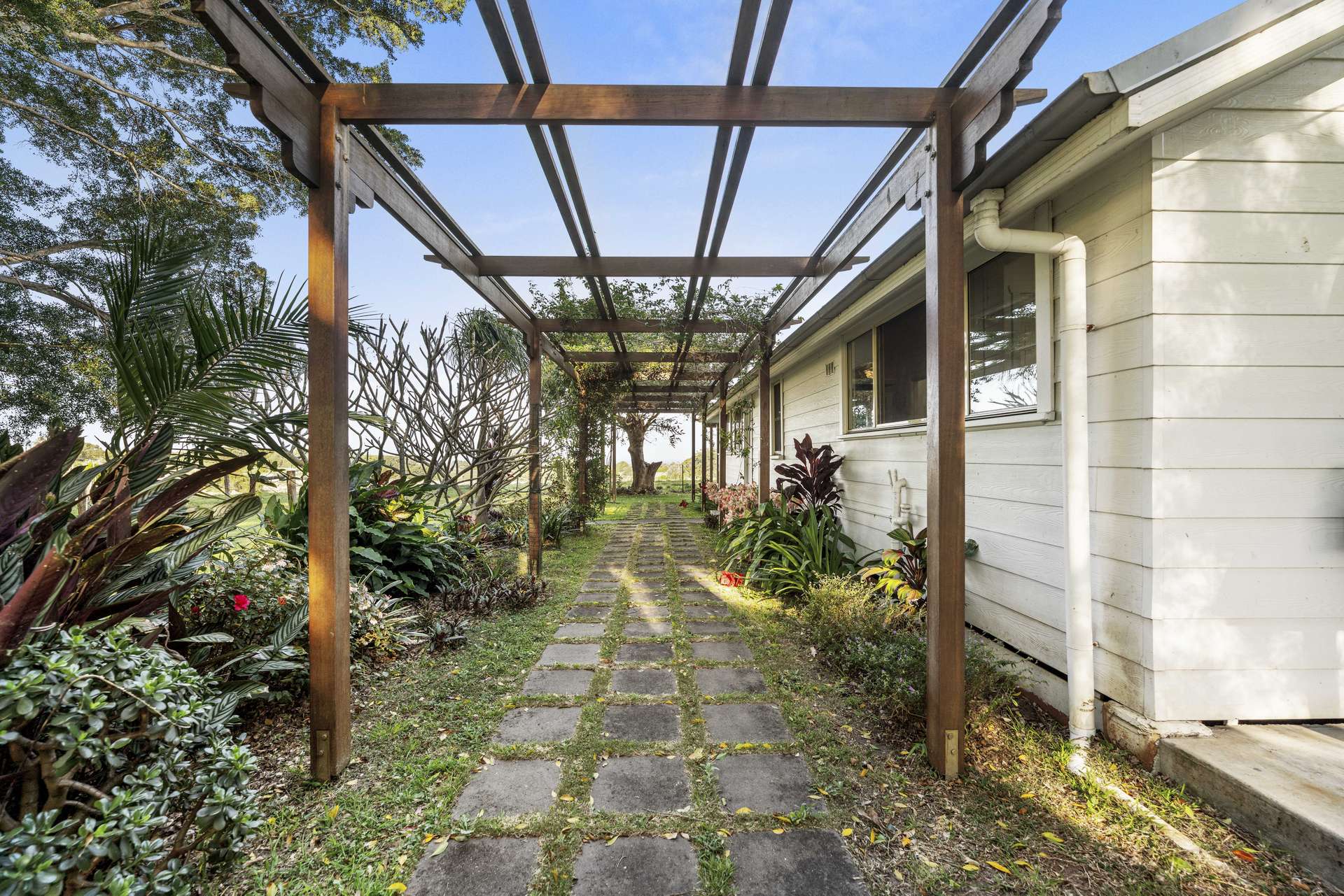 241 Alcorn Road, Knockrow For Sale by Farmbuy.com - image 11