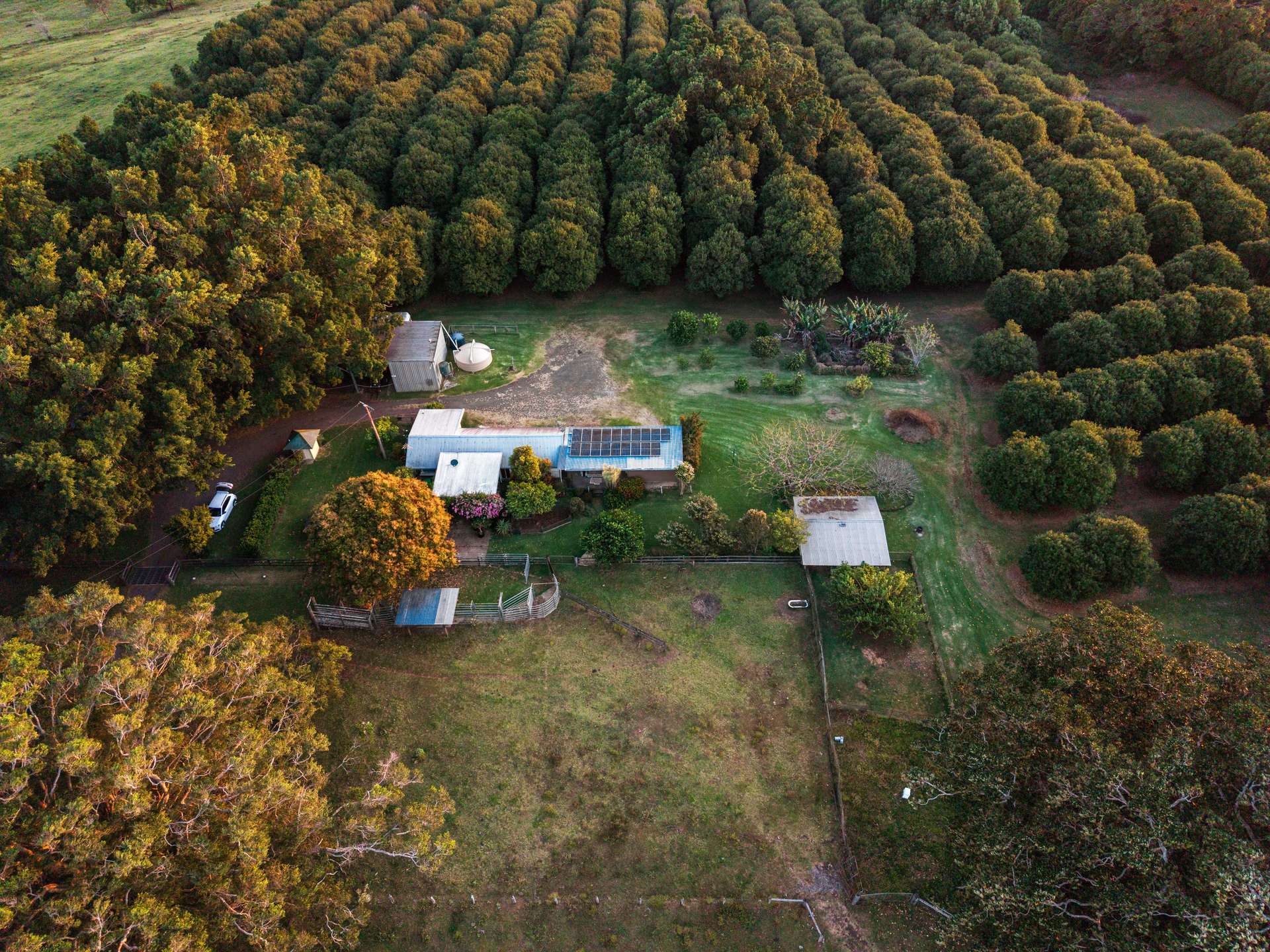 241 Alcorn Road, Knockrow For Sale by Farmbuy.com - image 5