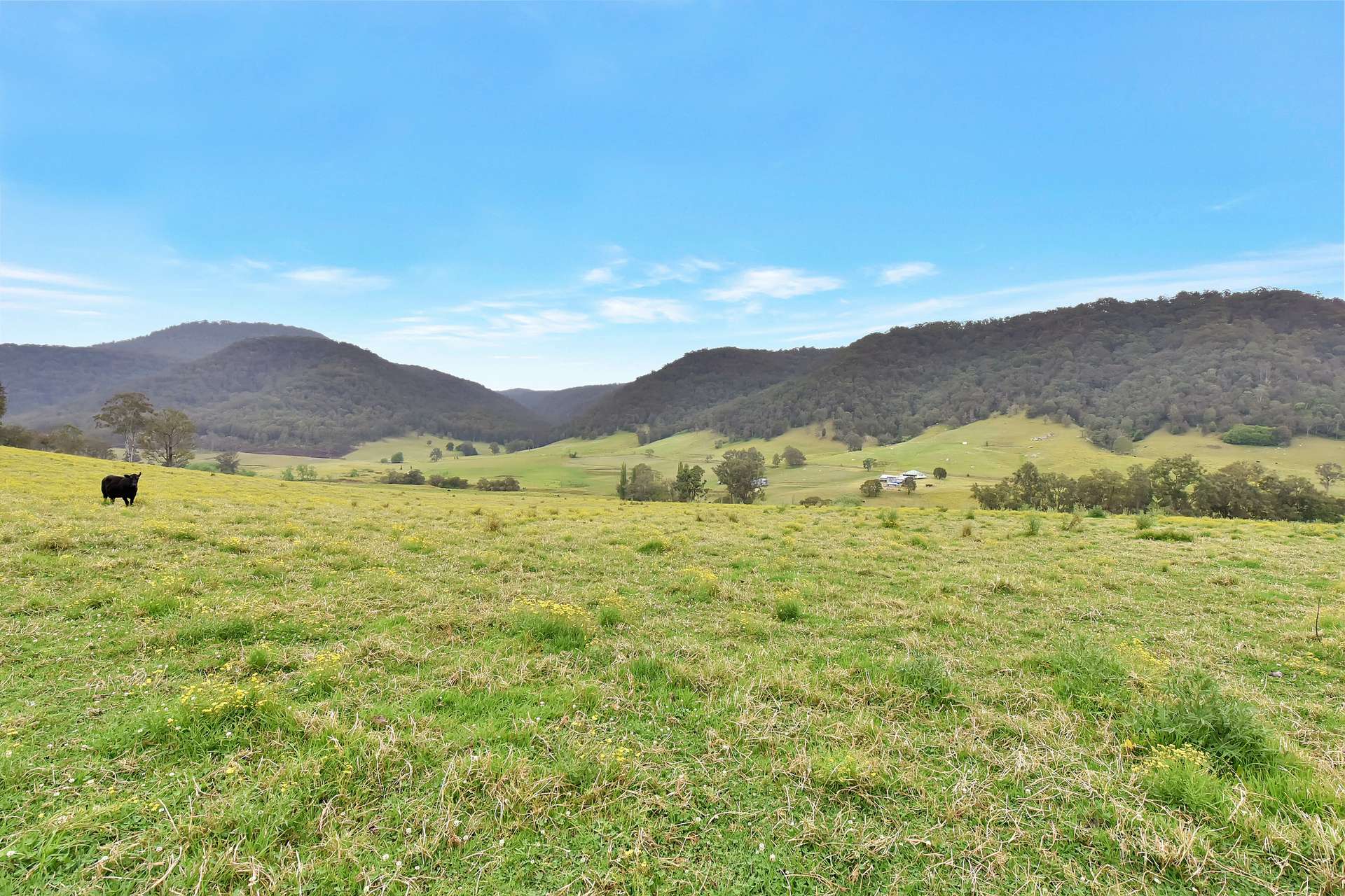 1473 Watagan Creek Road, Laguna For Sale by Farmbuy.com - image 10