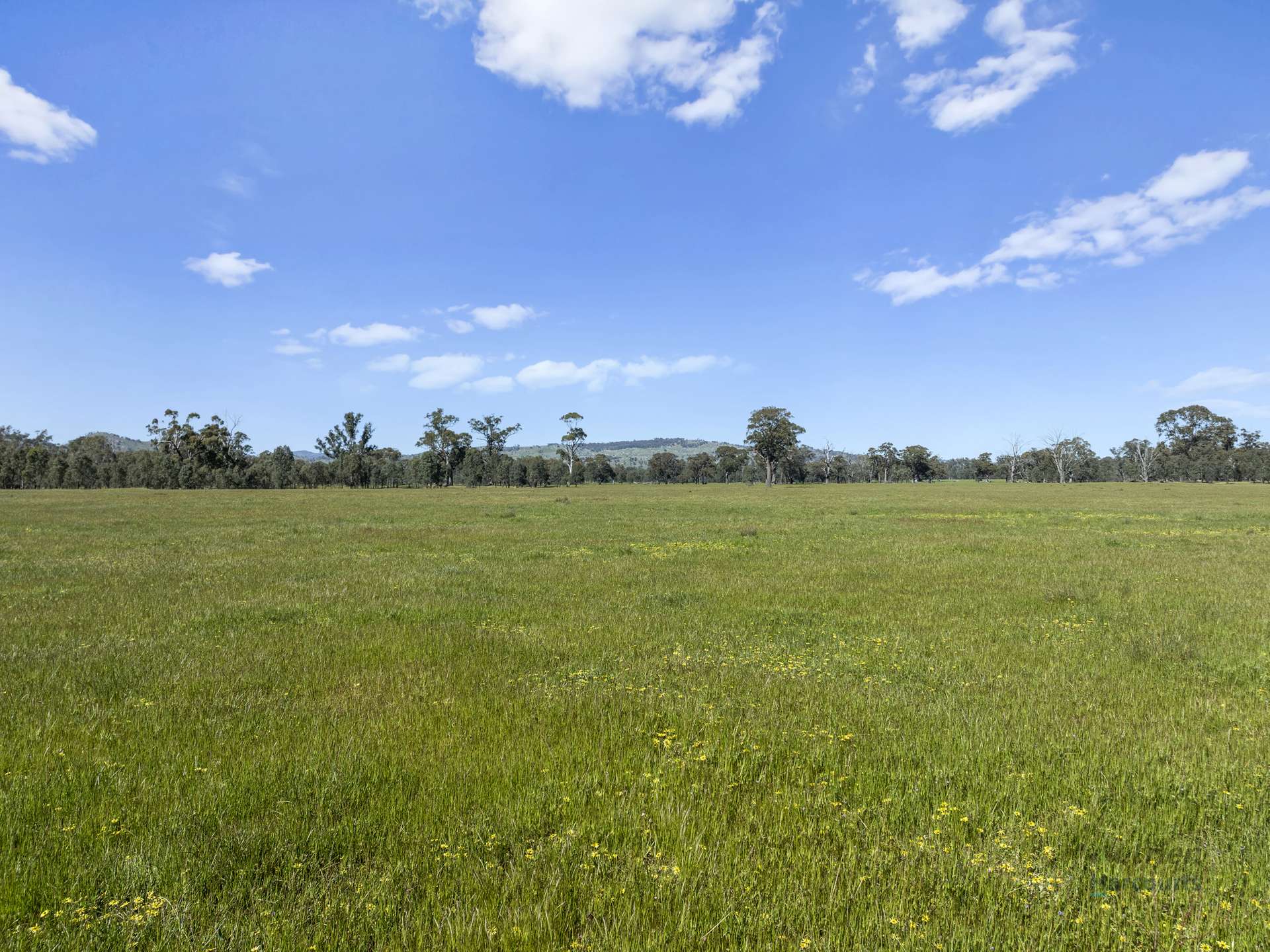 19A & 20A Balmattum North Road, Balmattum Sold by Farmbuy.com - image 14