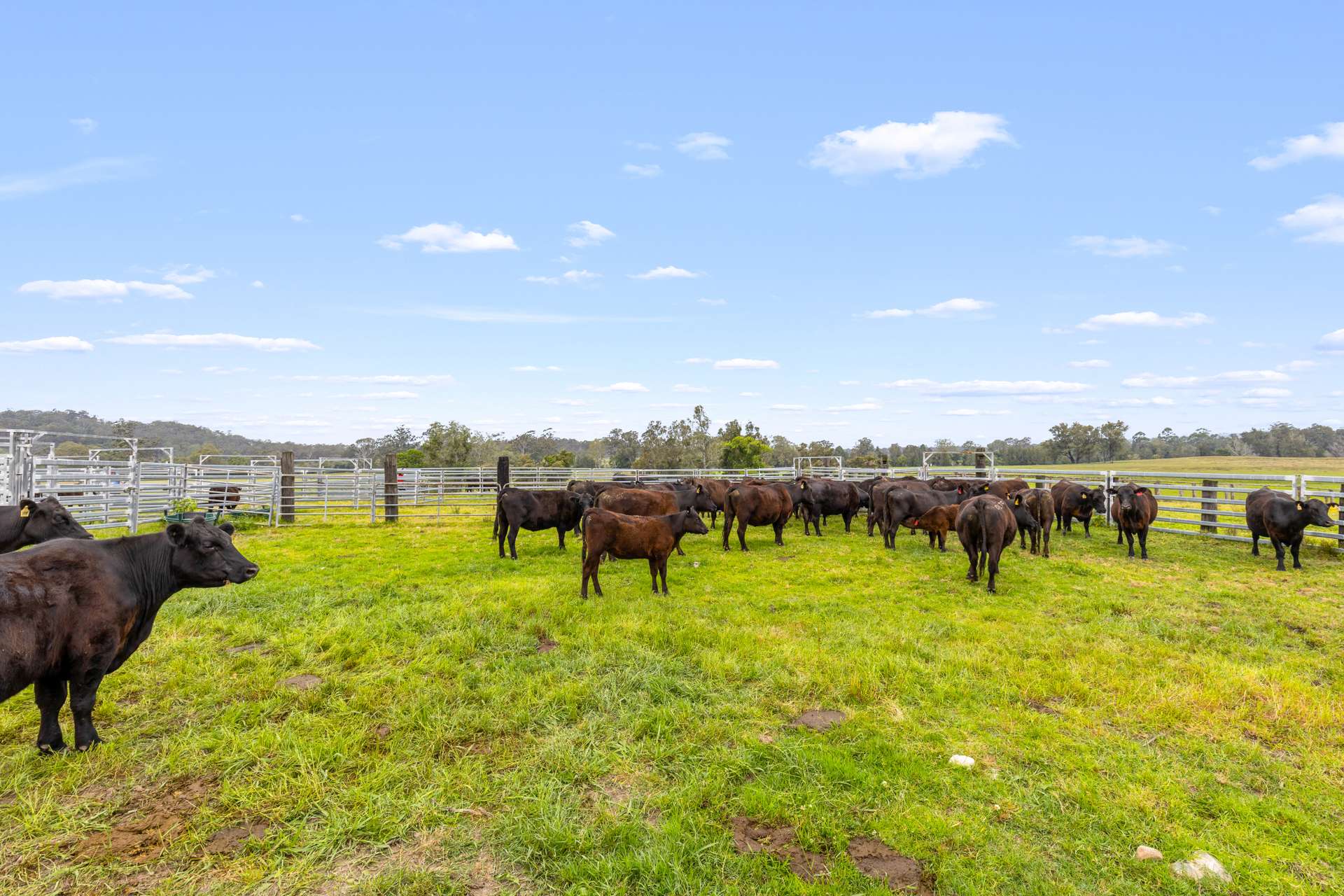 28 Langlands Road, Glen Oak For Sale by Farmbuy.com - image 20