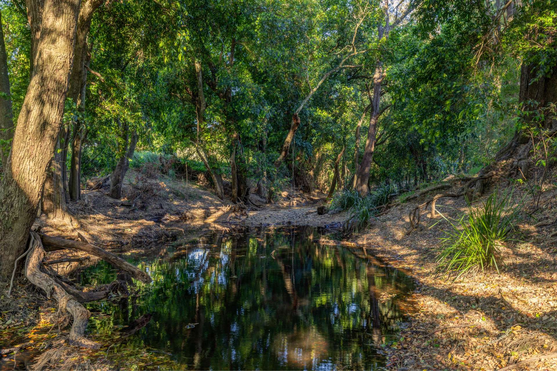 5 Main Creek Road, Dungog Sold by Farmbuy.com - image 8