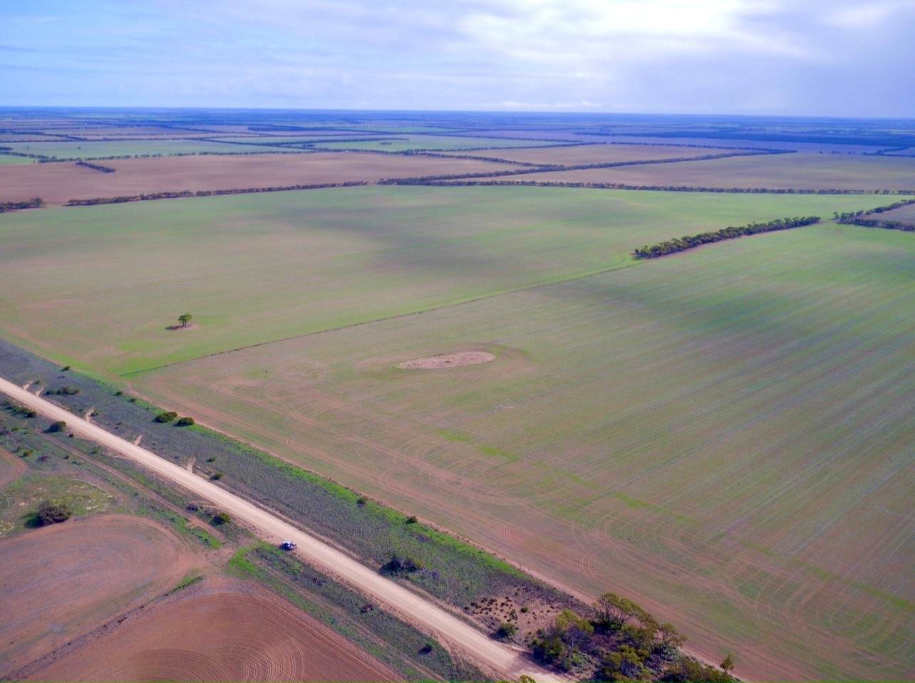 1830 Finlayson Road, Petina For Sale by Farmbuy.com - image 4