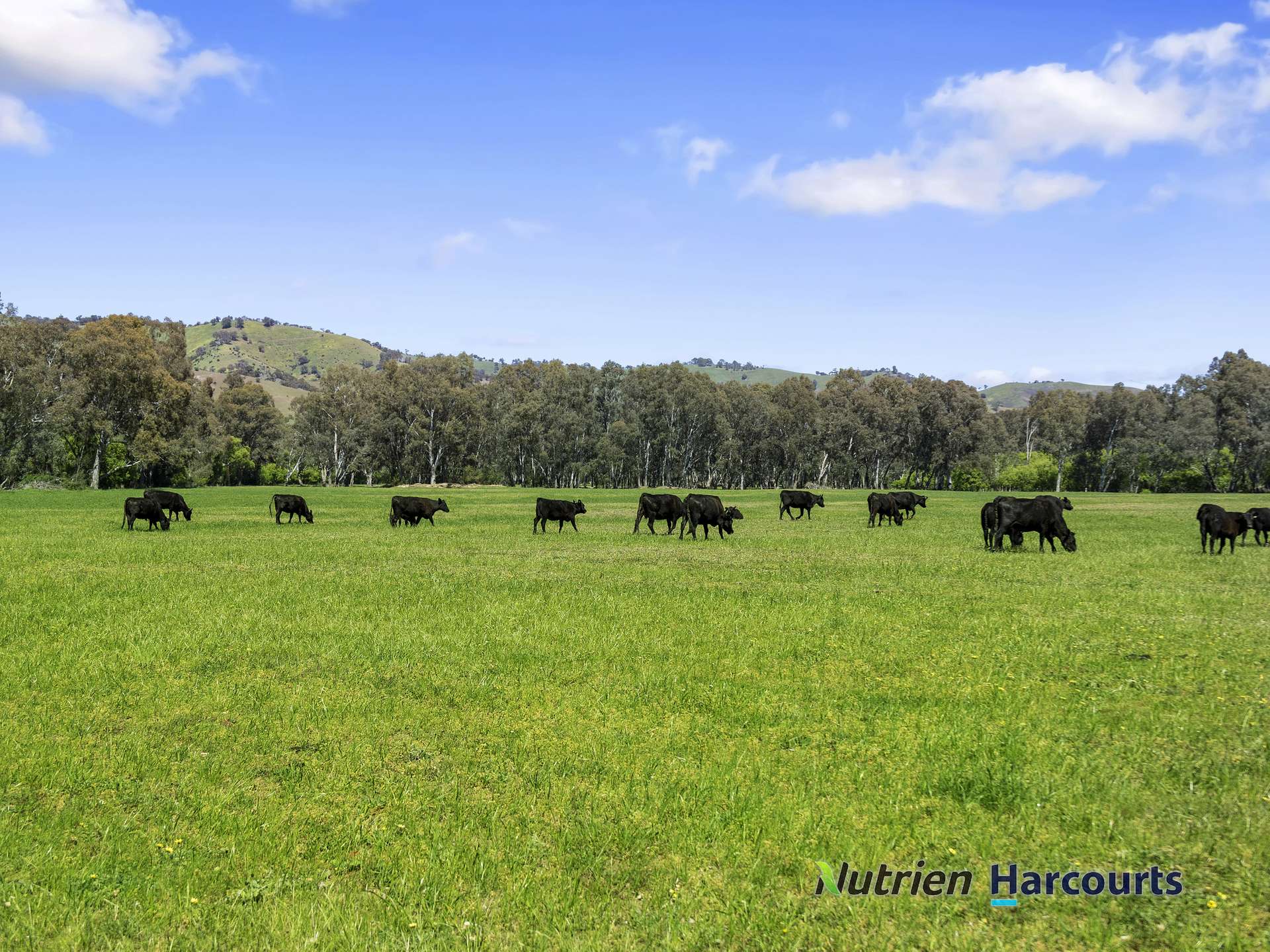 26 Baynes Road, Molesworth Sold by Farmbuy.com - image 2