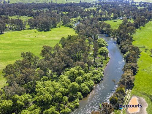 Farm Sold - VIC - Molesworth - 3718 - 3 Km of Goulburn River Frontage 