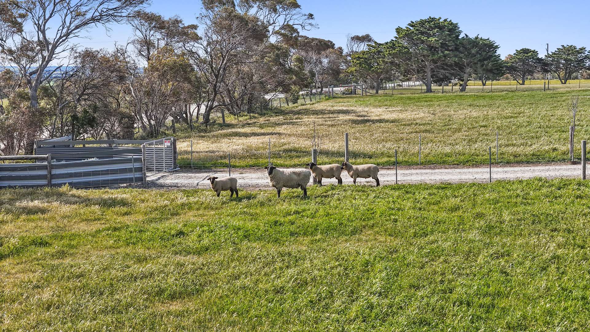 1119 Dry Plains Road, Finniss Sold by Farmbuy.com - image 27