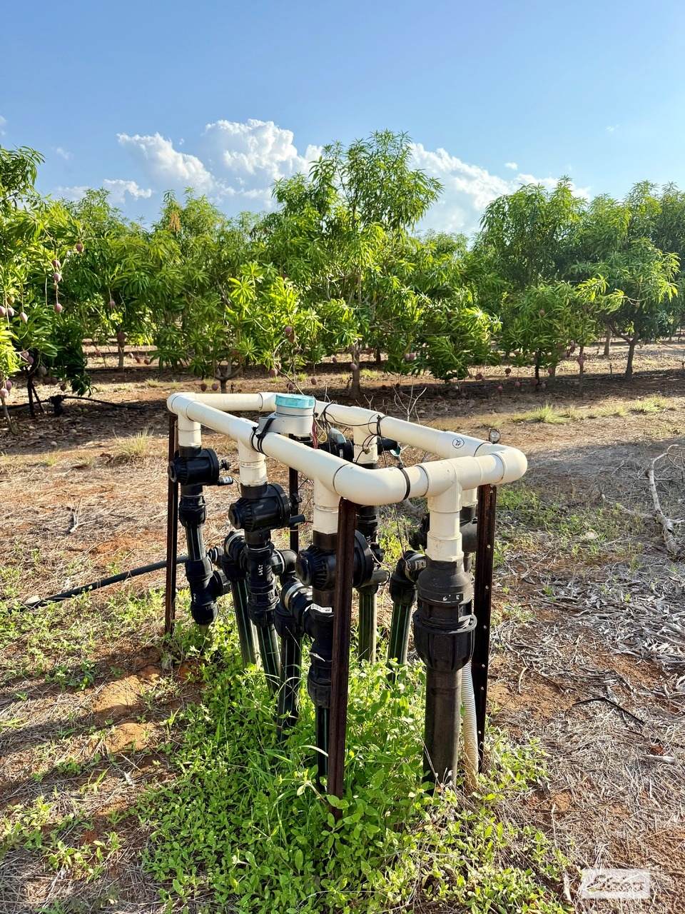 80 & 100 Russ Road, Tumbling Waters For Sale by Farmbuy.com - image 27