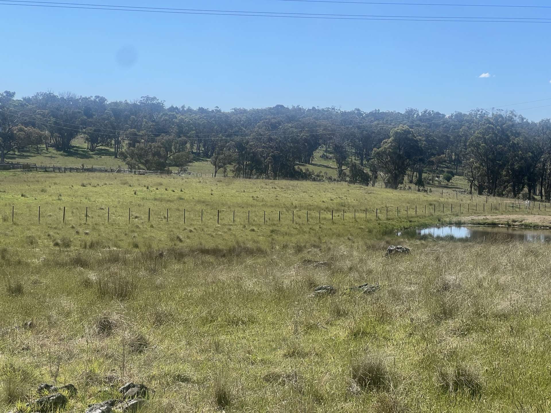 400 Bullock Mountain Road, Glen Innes Sold by Farmbuy.com - image 9