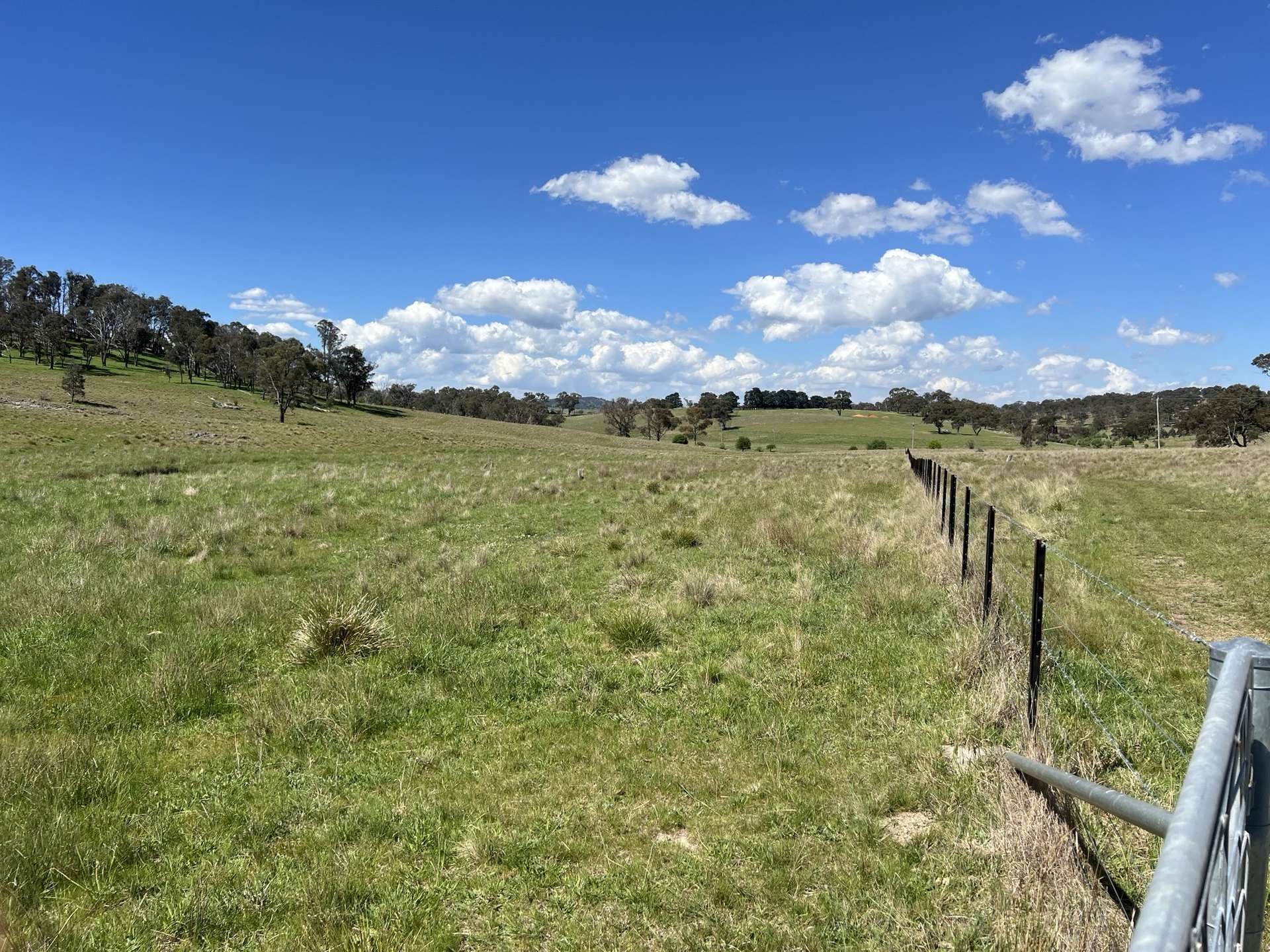 400 Bullock Mountain Road, Glen Innes Sold by Farmbuy.com - image 3