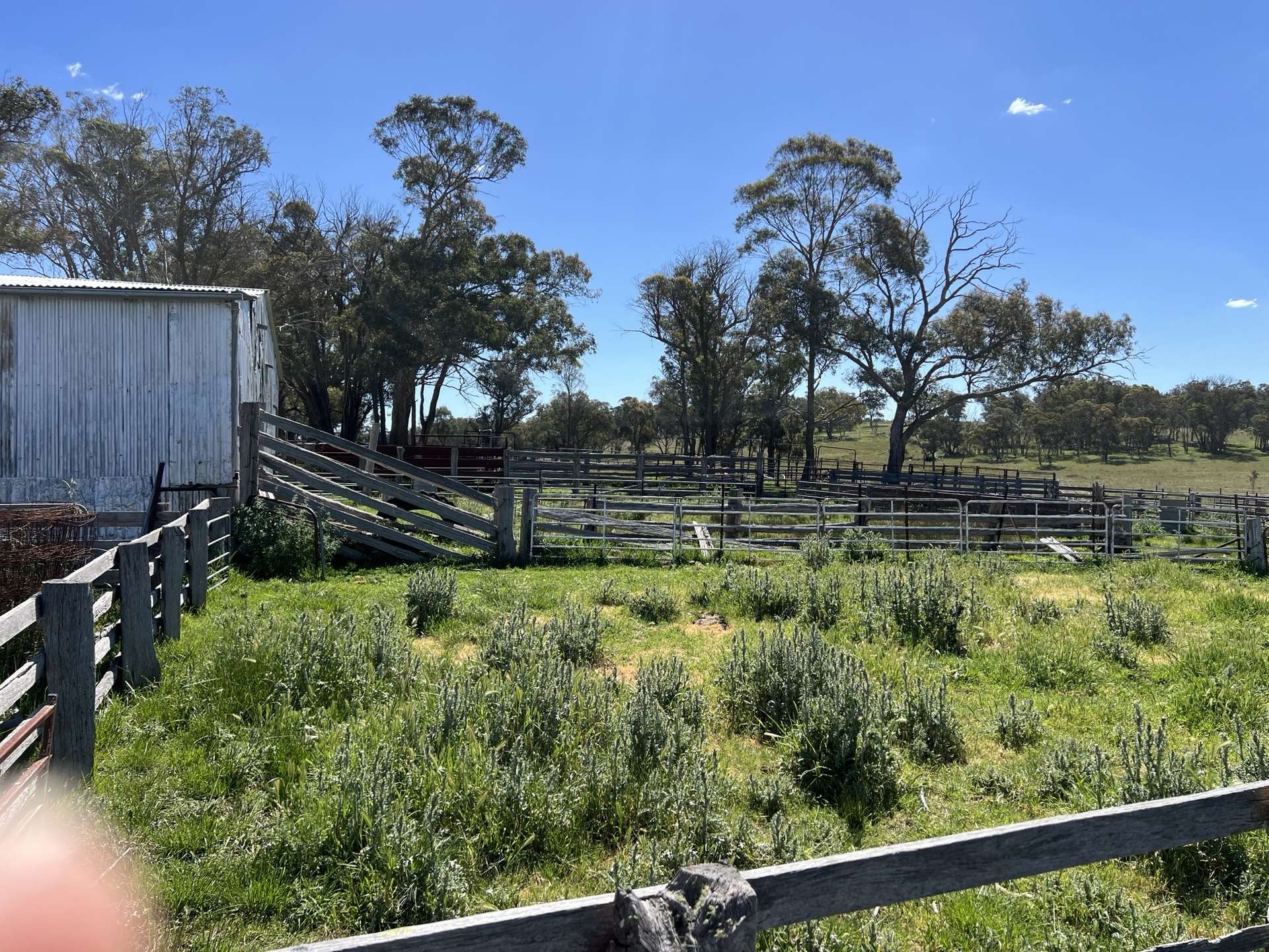 400 Bullock Mountain Road, Glen Innes Sold by Farmbuy.com - image 12