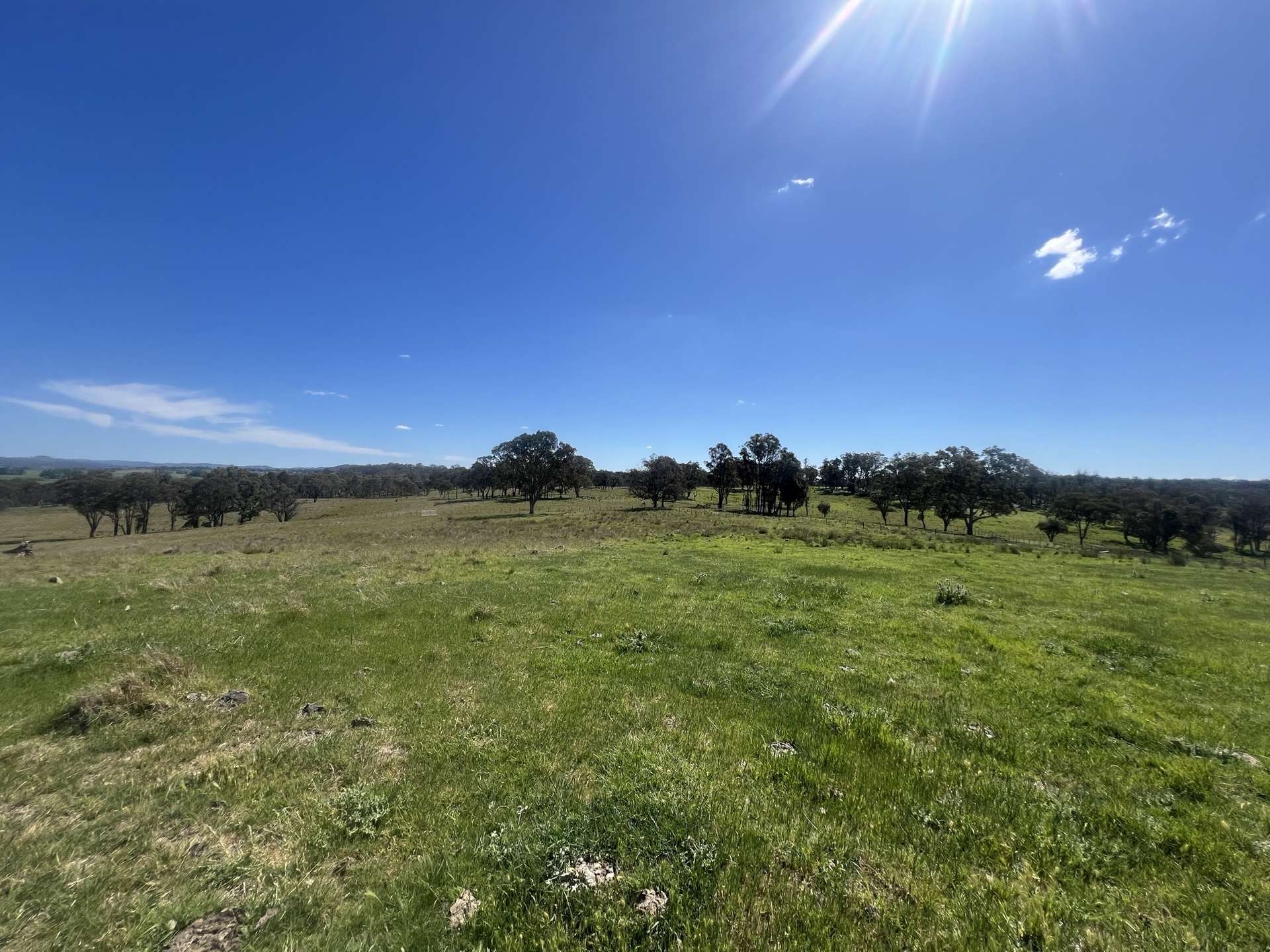 400 Bullock Mountain Road, Glen Innes Sold by Farmbuy.com - image 7