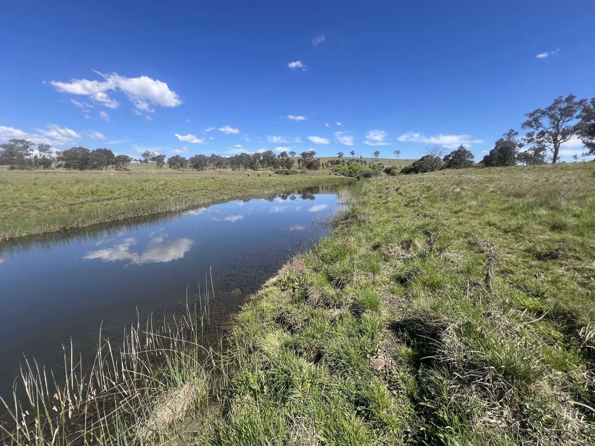 400 Bullock Mountain Road, Glen Innes Sold by Farmbuy.com - image 2