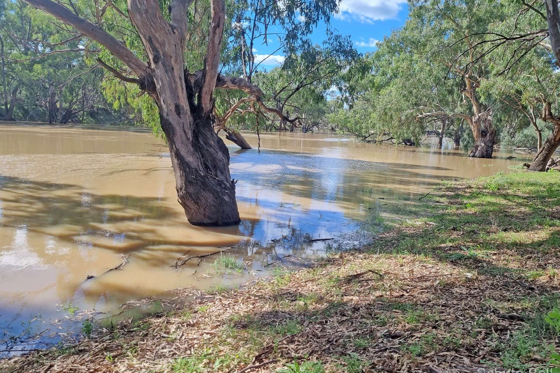 151 Burban Street, Brewarrina For Sale by Farmbuy.com - image 11