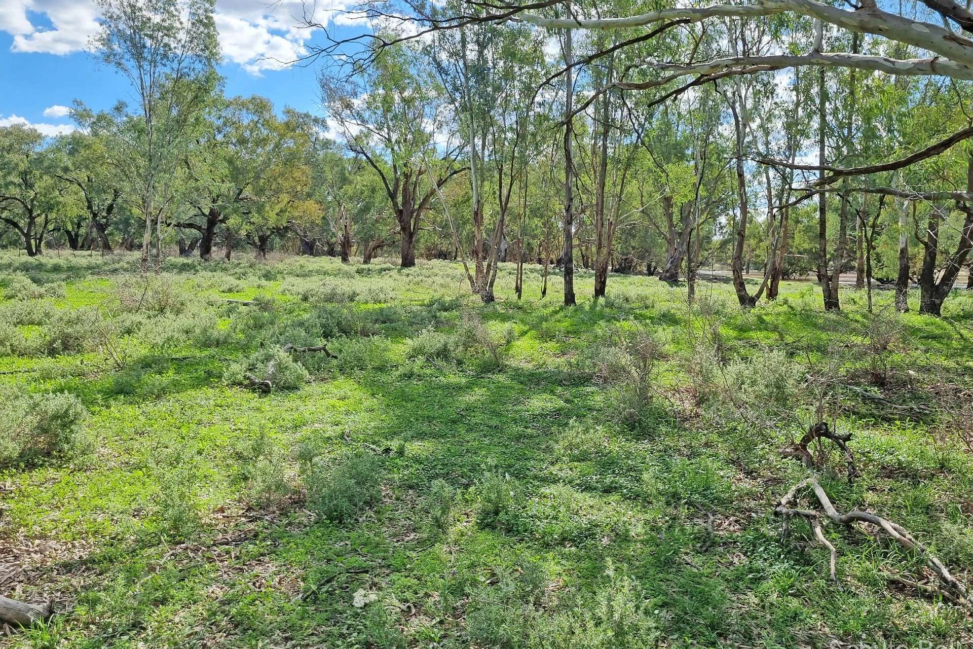 151 Burban Street, Brewarrina For Sale by Farmbuy.com - image 6