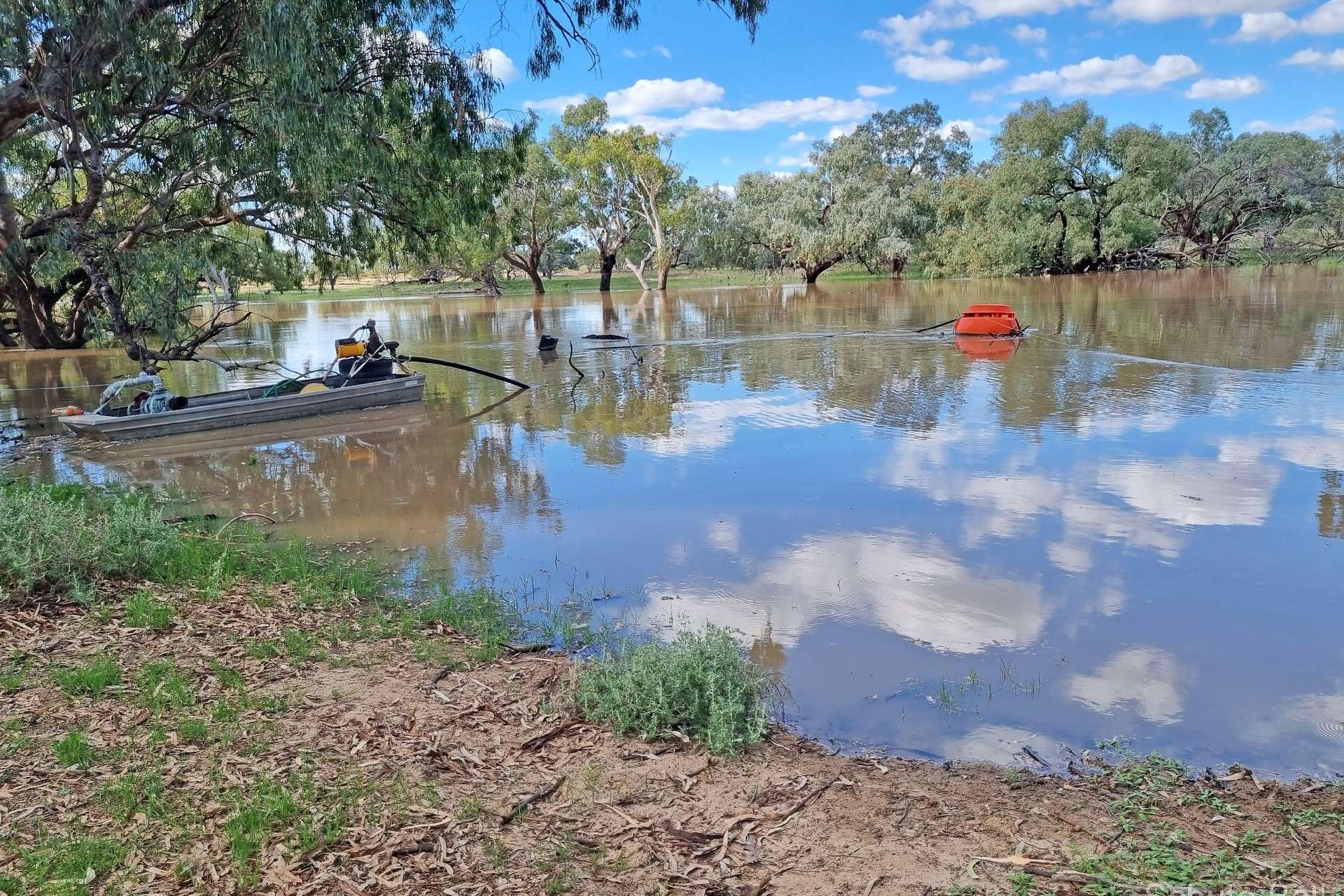 151 Burban Street, Brewarrina For Sale by Farmbuy.com - image 12