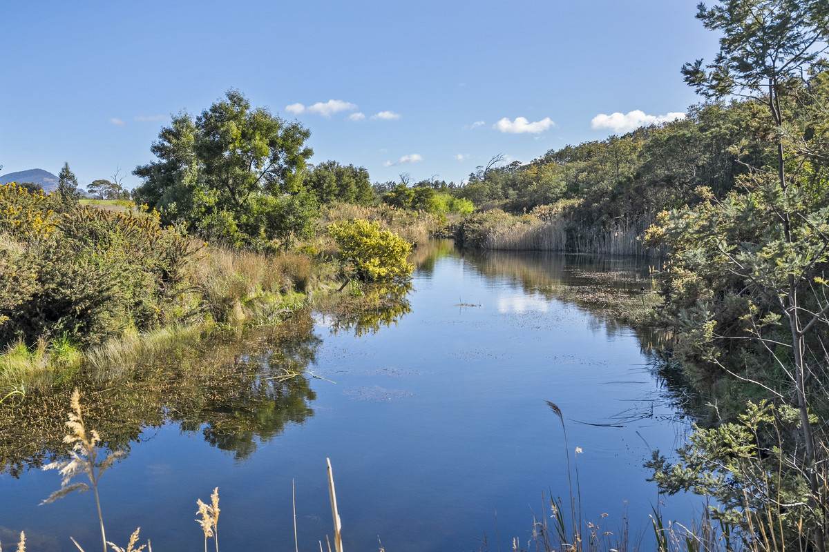151 Prossers Road, Richmond For Sale by Farmbuy.com - image 23