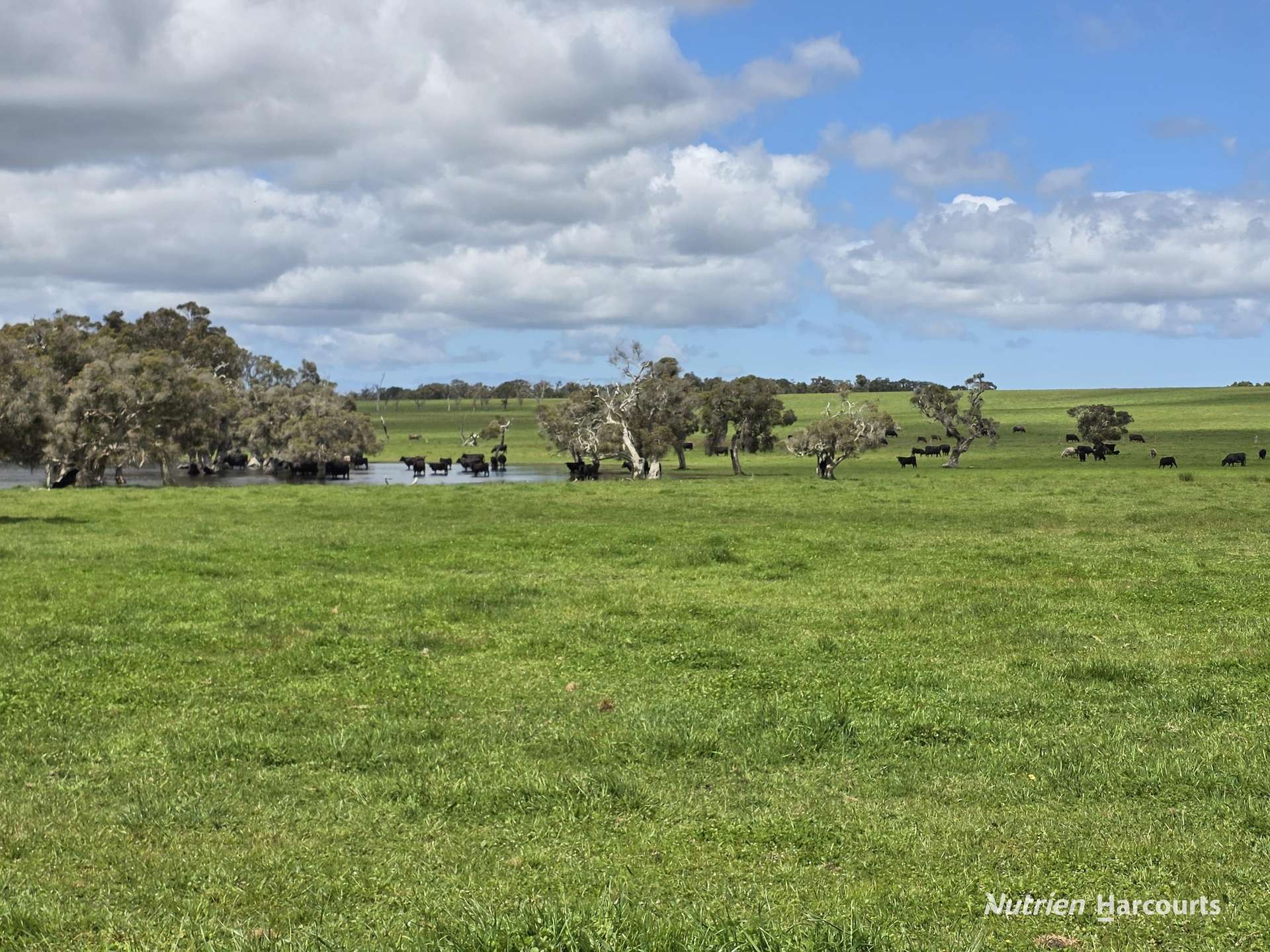 1867 Chester Pass Road, Napier Sold by Farmbuy.com - image 26