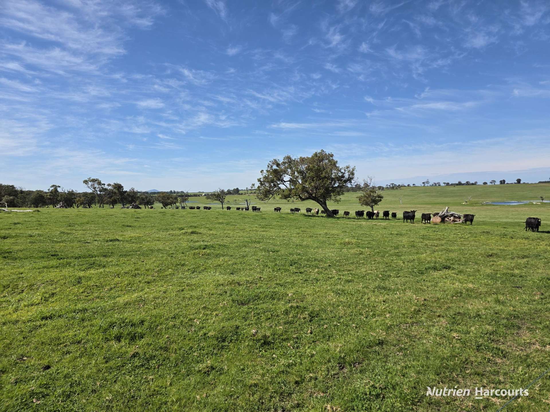 1867 Chester Pass Road, Napier Sold by Farmbuy.com - image 1