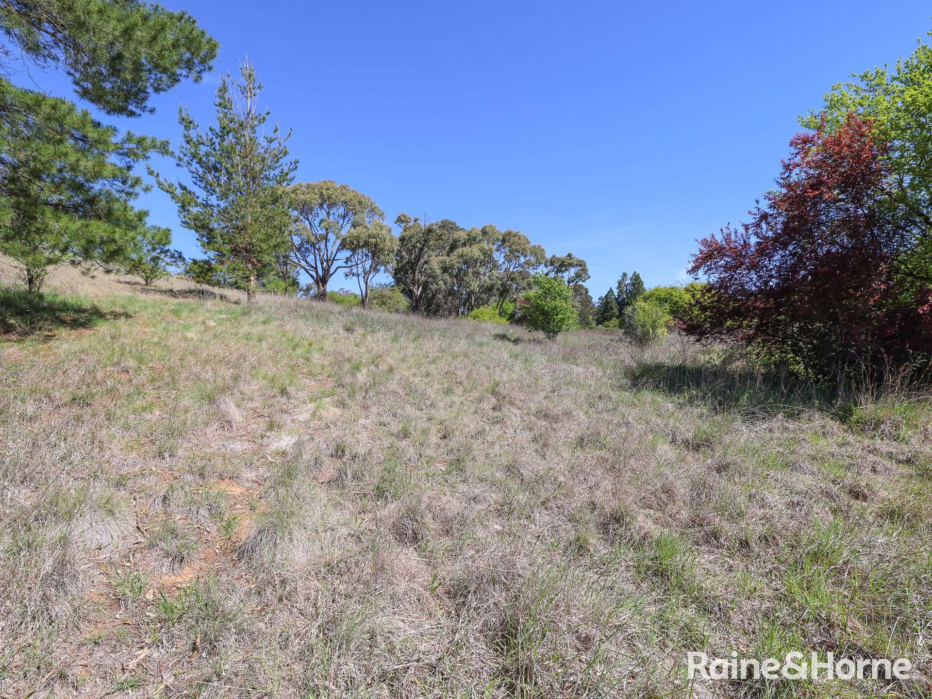 1 Naylor Street, Carcoar For Sale by Farmbuy.com - image 5