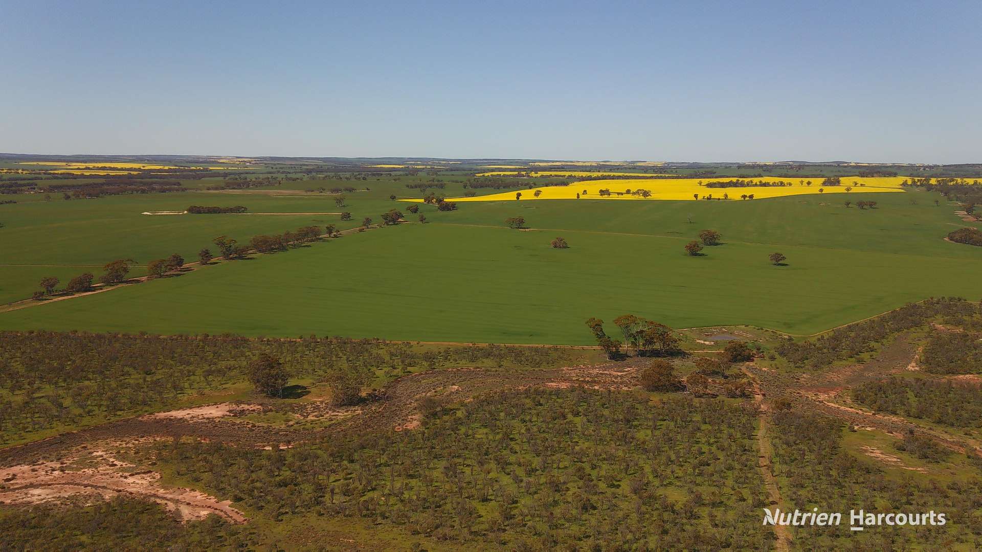 Lot 3268 Piccadilly Road, Gilgering Sold by Farmbuy.com - image 1