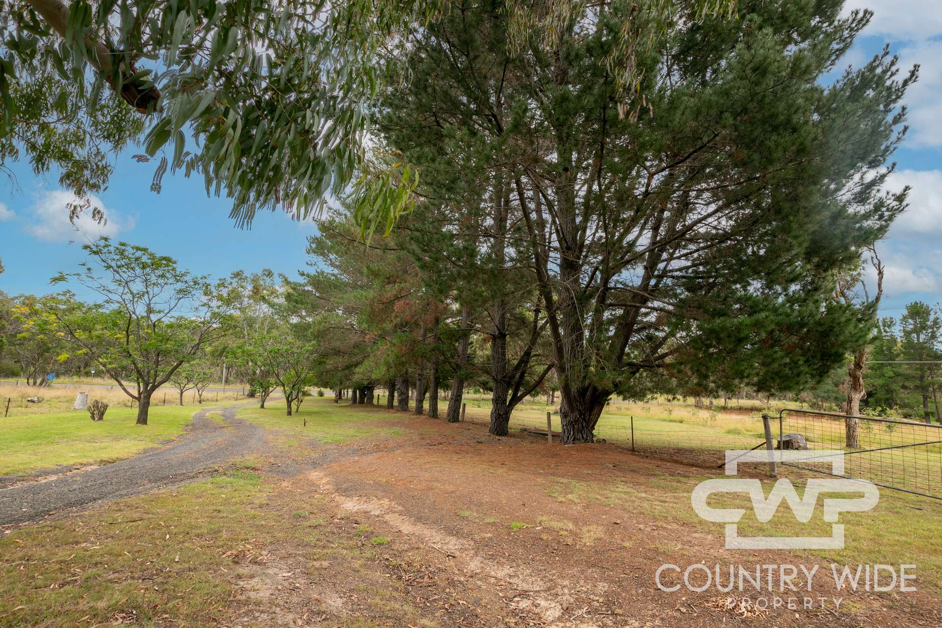 65 Rodgers Road, Glen Innes Sold by Farmbuy.com - image 20