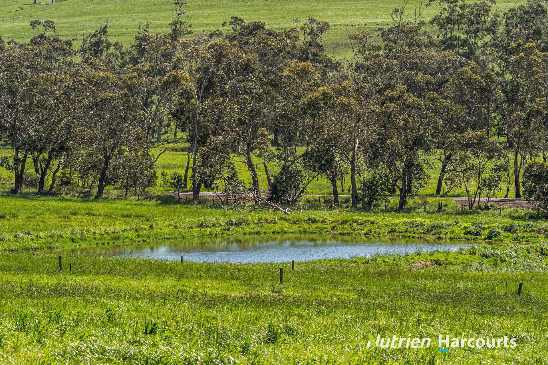 Part/880 Timboon - Colac Road, Simpson For Sale by Farmbuy.com - image 11