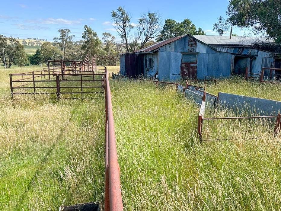 271 Old Lachlan Road, Hobbys Yards Sold by Farmbuy.com - image 12