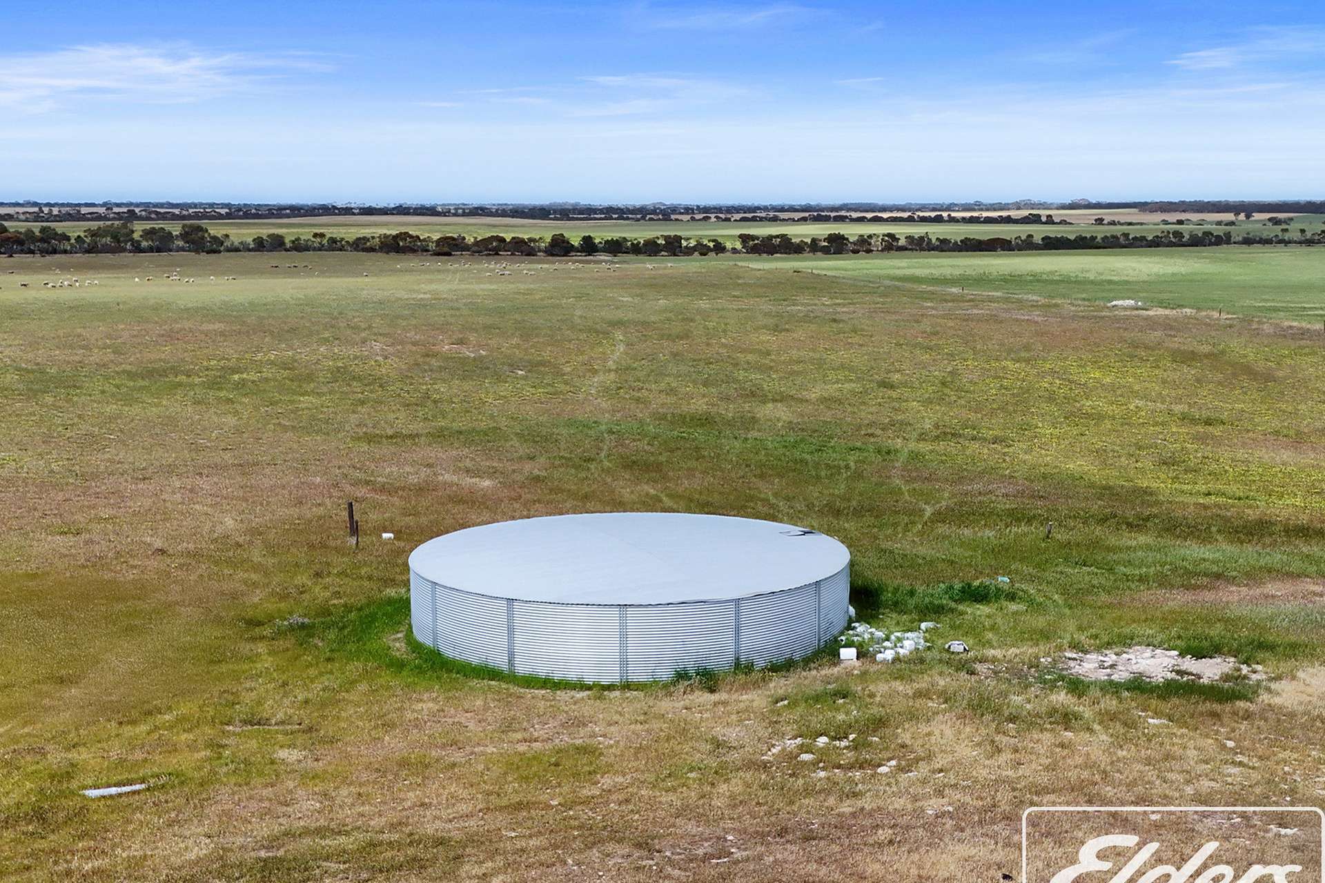 571 Kangaroo Road, Langhorne Creek For Sale by Farmbuy.com - image 14