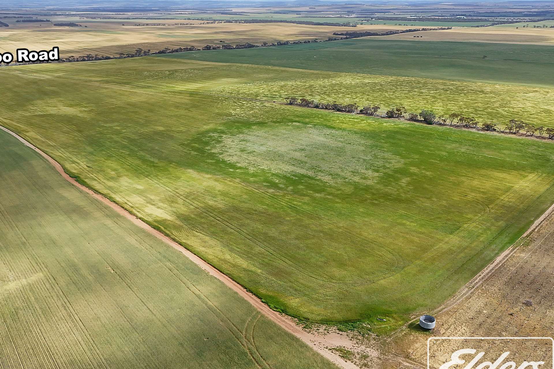 571 Kangaroo Road, Langhorne Creek For Sale by Farmbuy.com - image 8