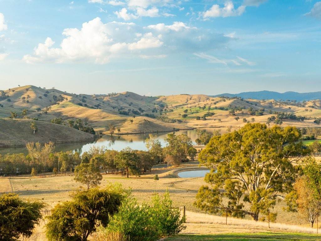 35 Prowds Lane, Bonnie Doon For Sale by Farmbuy.com - image 30