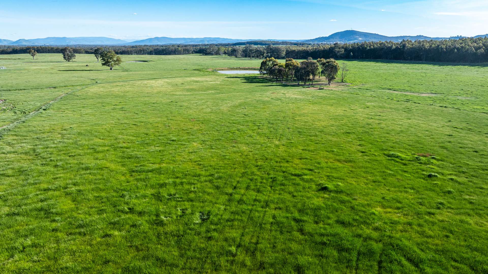 Lot 8, 9 & 12,  Eagle Rise Road, Table Top For Sale by Farmbuy.com - image 2