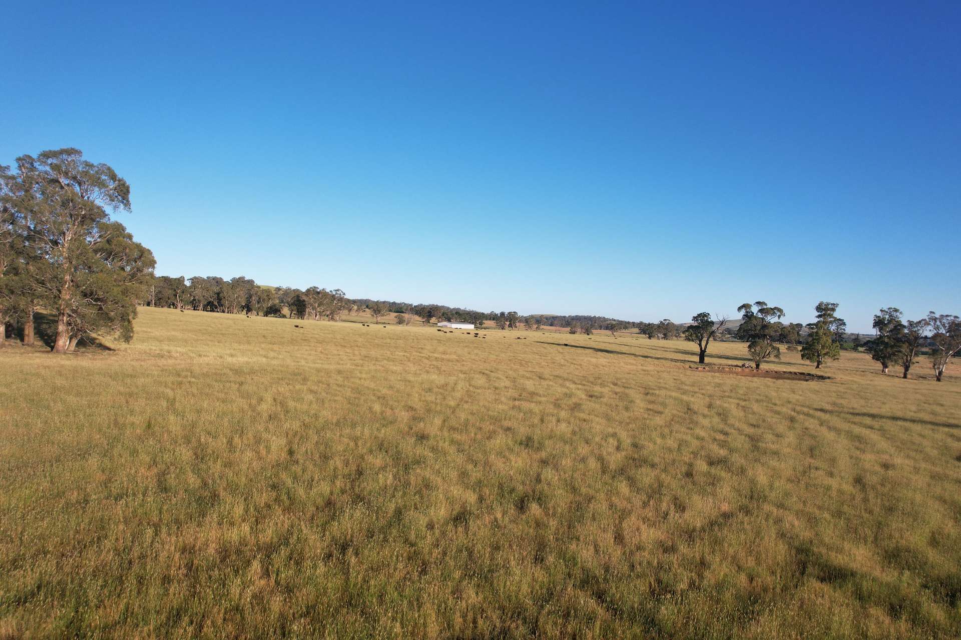 584 Three Brothers Road, Moorilda Sold by Farmbuy.com - image 24
