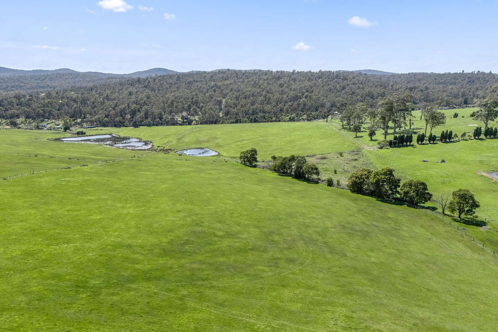 . Los Angelos Road, Swan Bay For Sale by Farmbuy.com - image 11