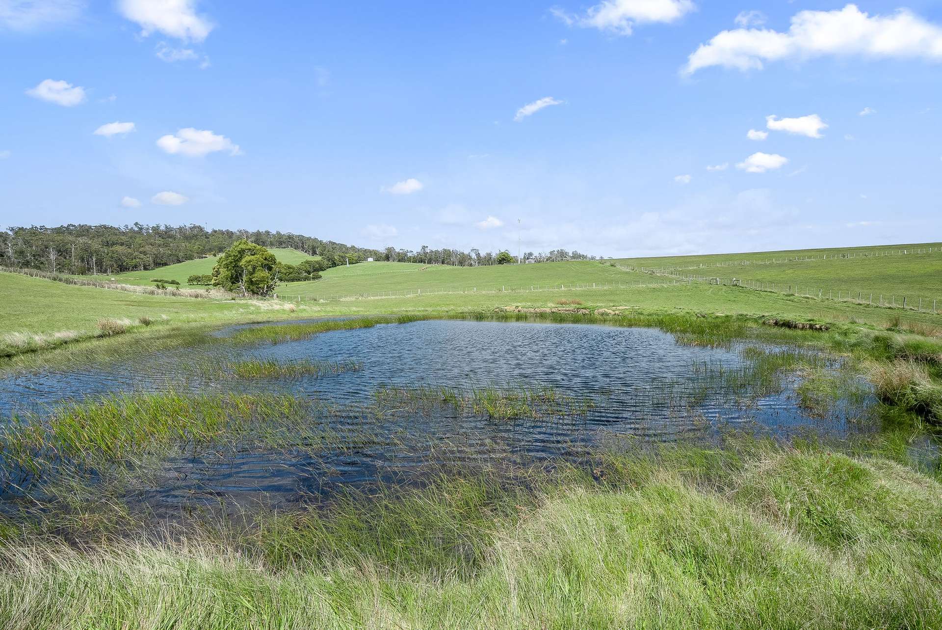. Los Angelos Road, Swan Bay For Sale by Farmbuy.com - image 8