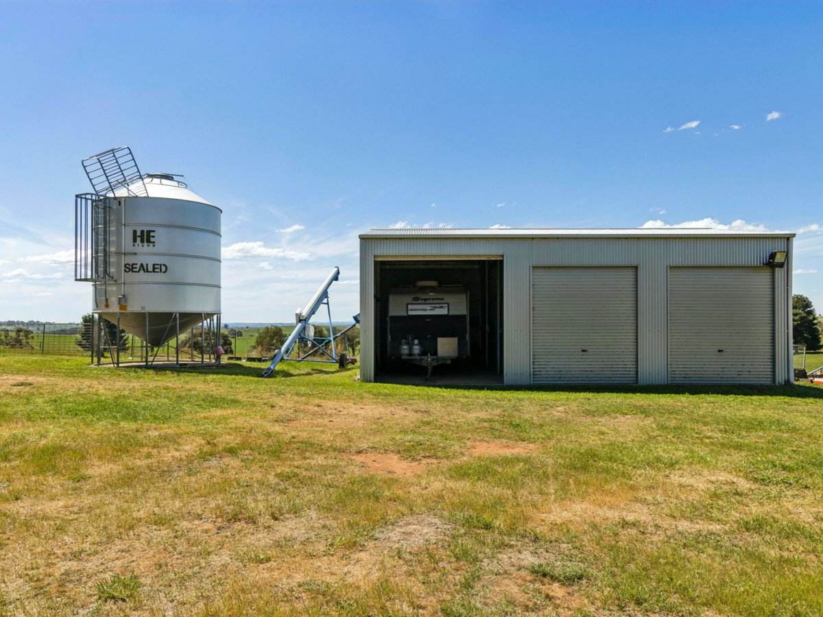 100 Powderly's Road, Young Sold by Farmbuy.com - image 22