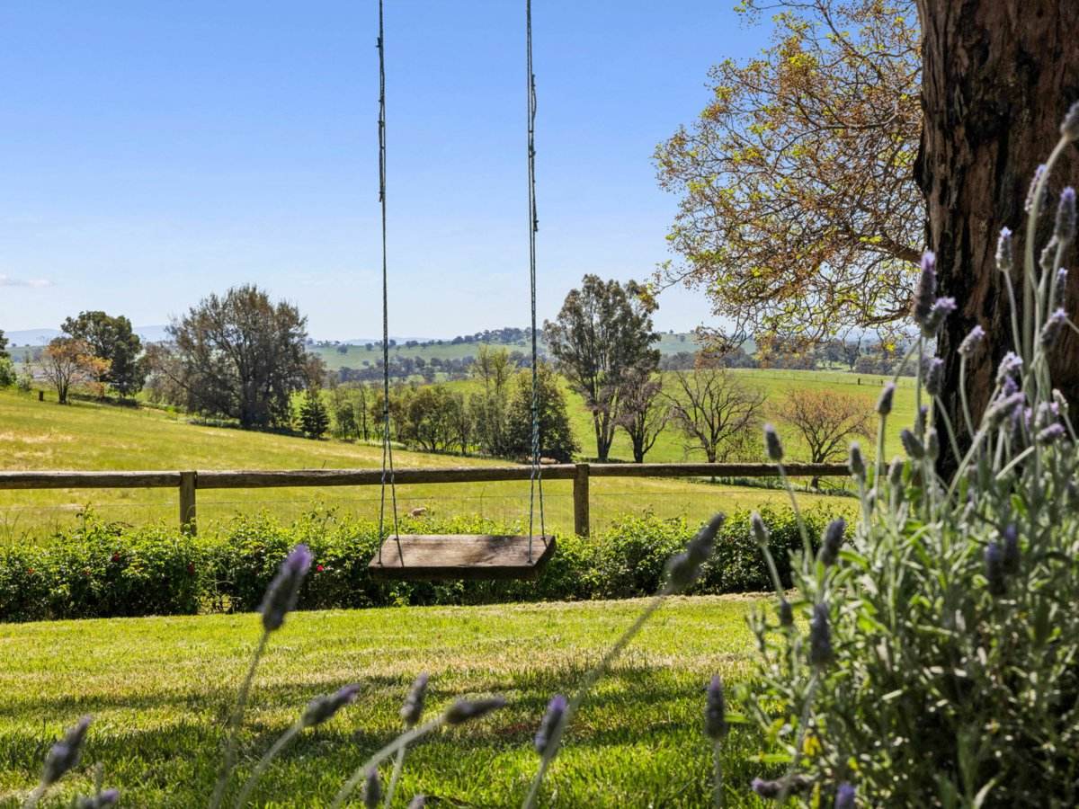 100 Powderly's Road, Young Sold by Farmbuy.com - image 21
