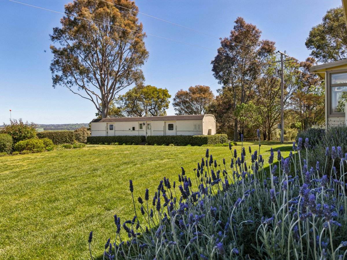 100 Powderly's Road, Young Sold by Farmbuy.com - image 20