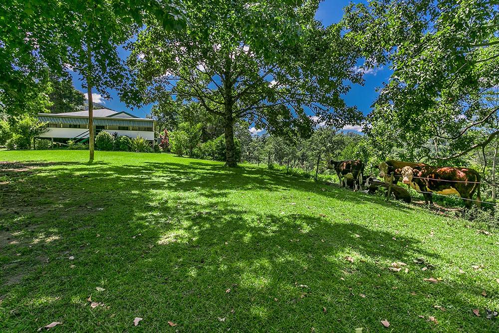 442 Blue Knob Road, Nimbin Sold by Farmbuy.com - image 7