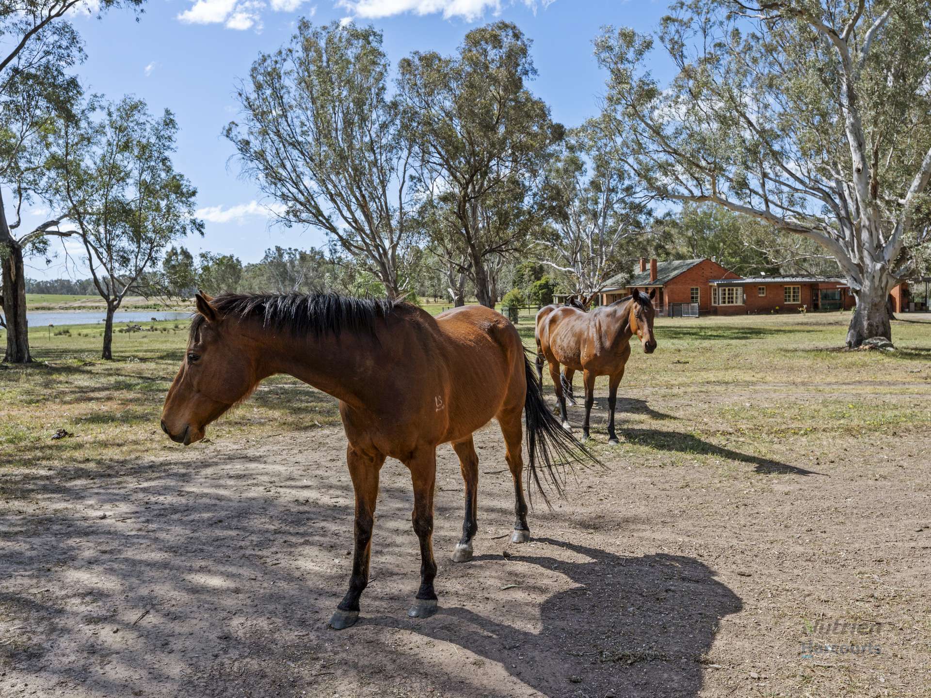 182 Strathaird Road, Tamleugh For Sale by Farmbuy.com - image 18