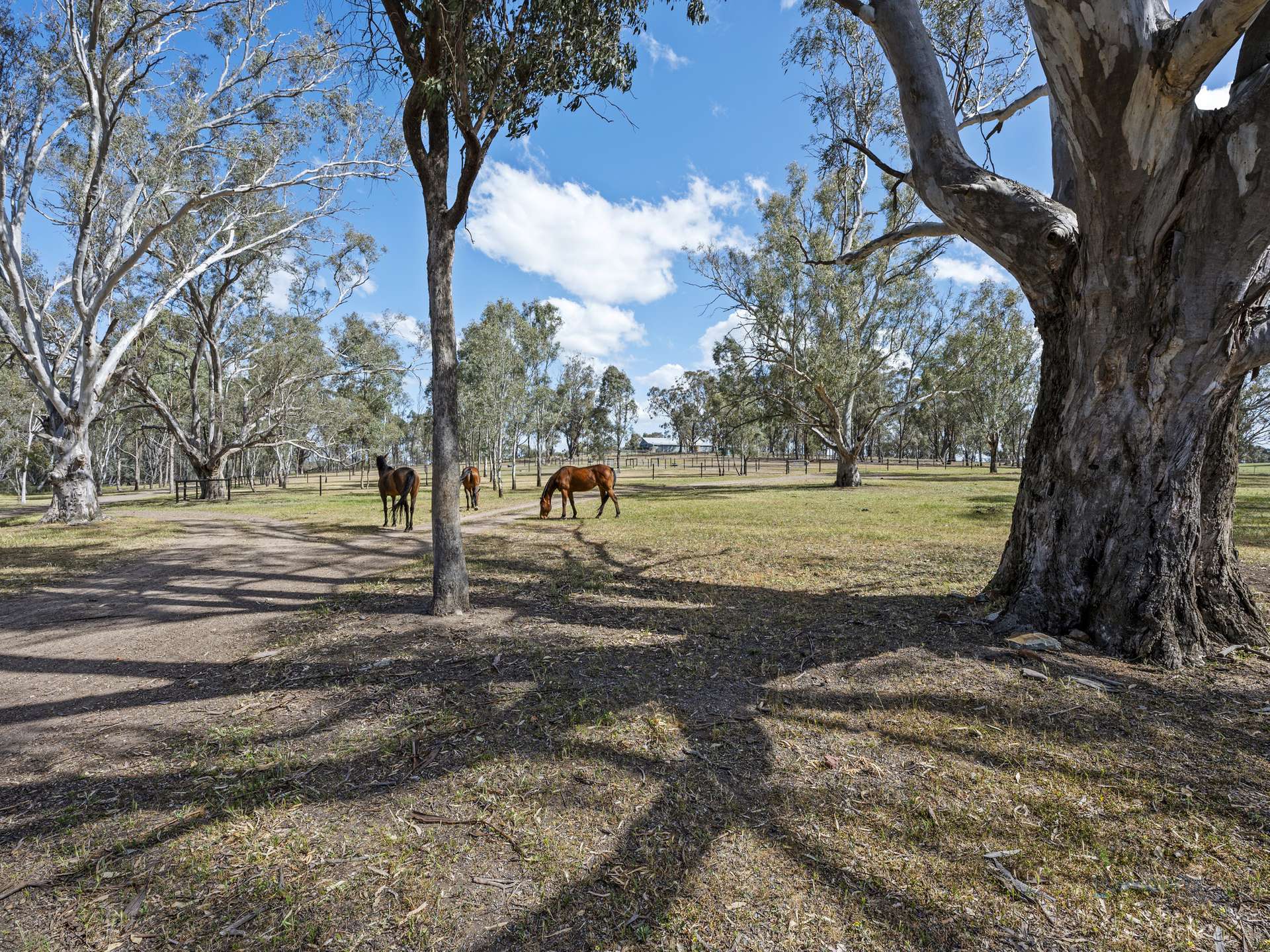 182 Strathaird Road, Tamleugh For Sale by Farmbuy.com - image 16