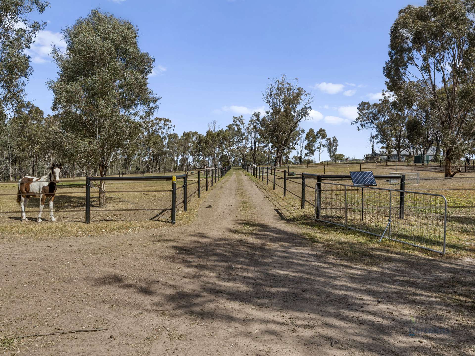 182 Strathaird Road, Tamleugh For Sale by Farmbuy.com - image 15