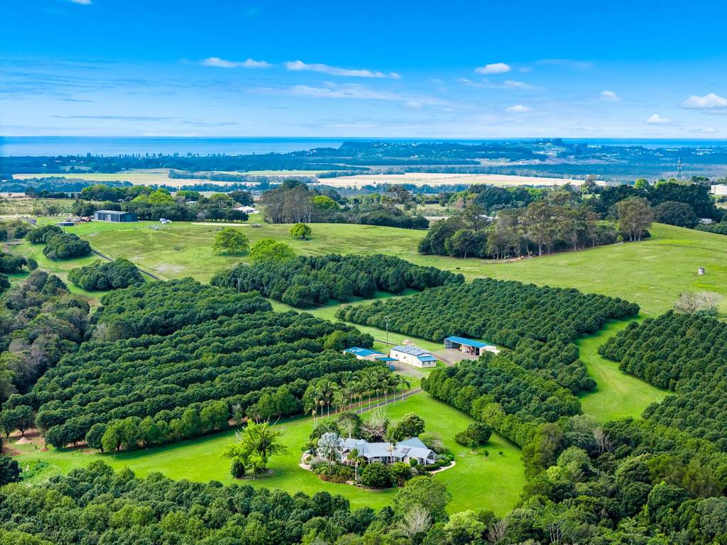 271 Alcorn Road, Knockrow NSW 2479