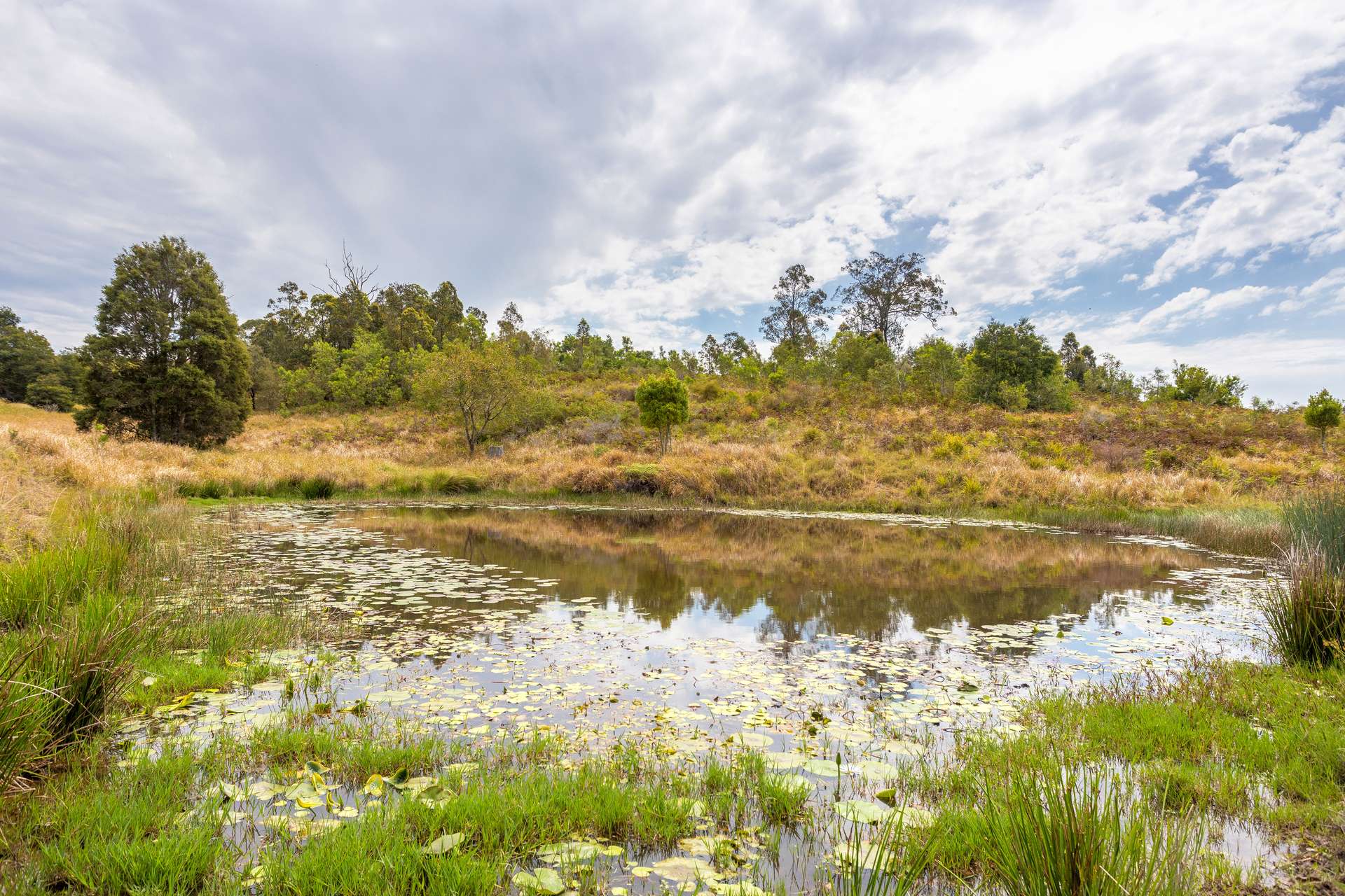 120 Norries Road, Bunyah For Sale by Farmbuy.com - image 16